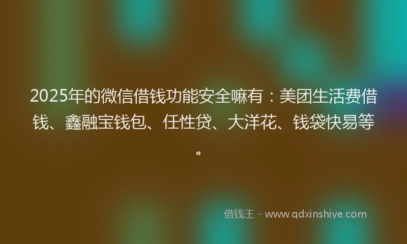 2025年的微信借钱功能安全嘛有：美团生活费借钱、鑫融宝钱包、任性贷、大洋花、钱袋快易等。
