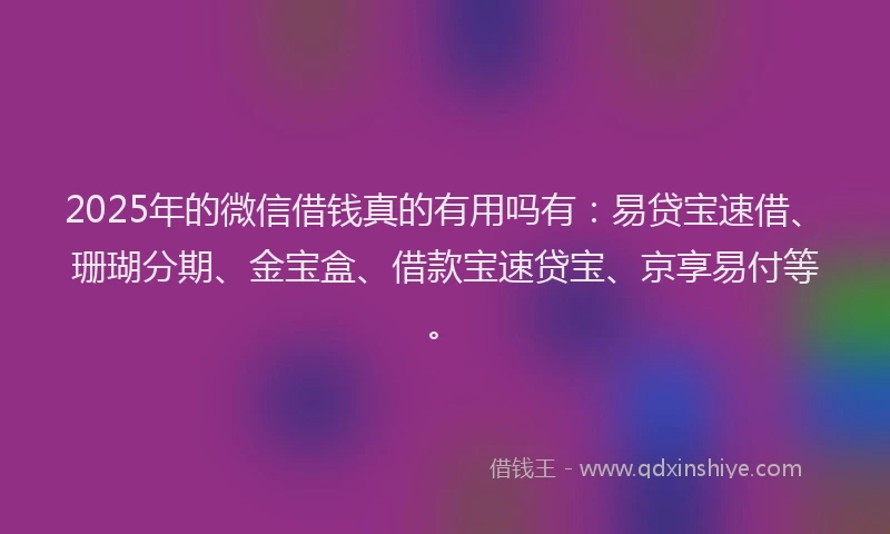 2025年的微信借钱真的有用吗有：易贷宝速借、珊瑚分期、金宝盒、借款宝速贷宝、京享易付等。