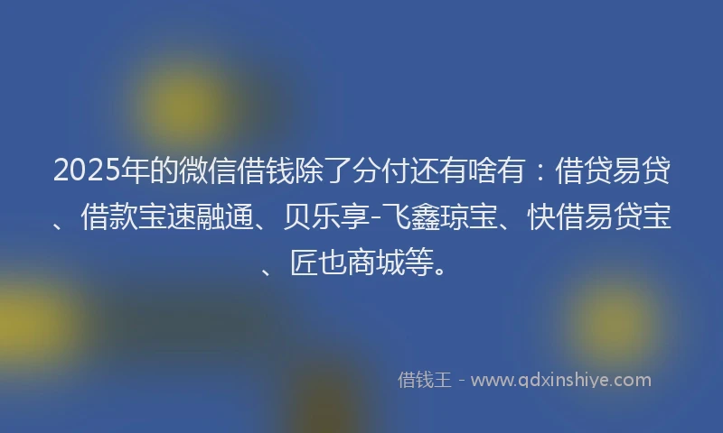 2025年的微信借钱除了分付还有啥有：借贷易贷、借款宝速融通、贝乐享-飞鑫琼宝、快借易贷宝、匠也商城等。