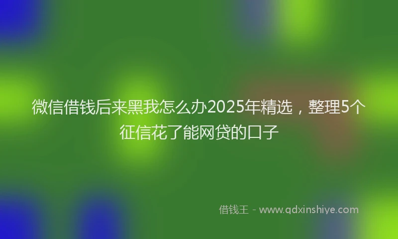微信借钱后来黑我怎么办2025年精选，整理5个征信花了能网贷的口子