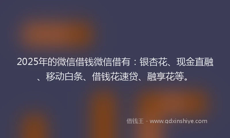 2025年的微信借钱微信借有：银杏花、现金直融、移动白条、借钱花速贷、融享花等。