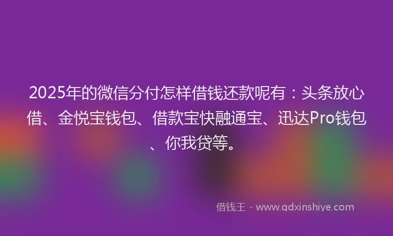 2025年的微信分付怎样借钱还款呢有：头条放心借、金悦宝钱包、借款宝快融通宝、迅达Pro钱包、你我贷等。