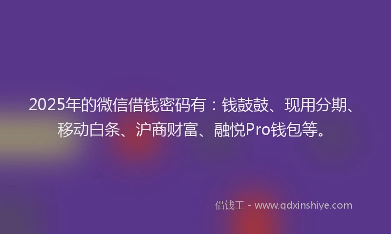 2025年的微信借钱密码有：钱鼓鼓、现用分期、移动白条、沪商财富、融悦Pro钱包等。
