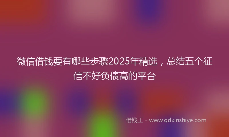 微信借钱要有哪些步骤2025年精选，总结五个征信不好负债高的平台
