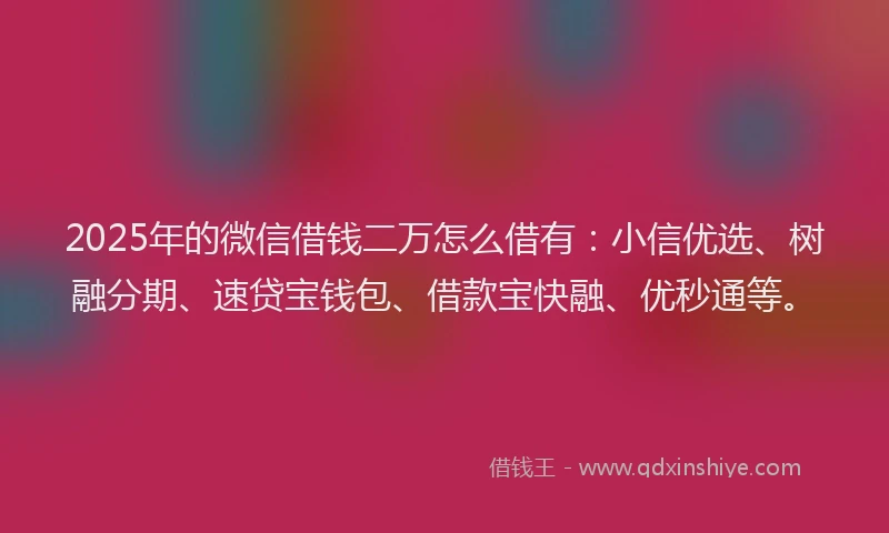 2025年的微信借钱二万怎么借有：小信优选、树融分期、速贷宝钱包、借款宝快融、优秒通等。