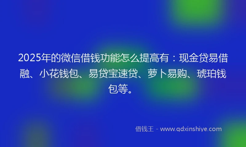 2025年的微信借钱功能怎么提高有：现金贷易借融、小花钱包、易贷宝速贷、萝卜易购、琥珀钱包等。