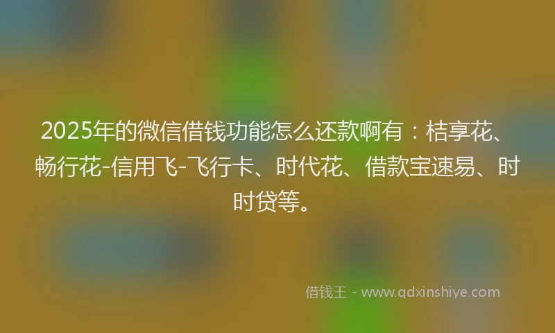 2025年的微信借钱功能怎么还款啊有：桔享花、畅行花-信用飞-飞行卡、时代花、借款宝速易、时时贷等。