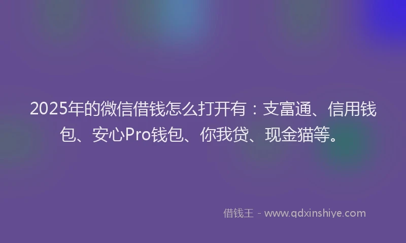 2025年的微信借钱怎么打开有：支富通、信用钱包、安心Pro钱包、你我贷、现金猫等。