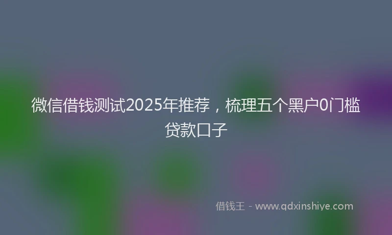 微信借钱测试2025年推荐，梳理五个黑户0门槛贷款口子