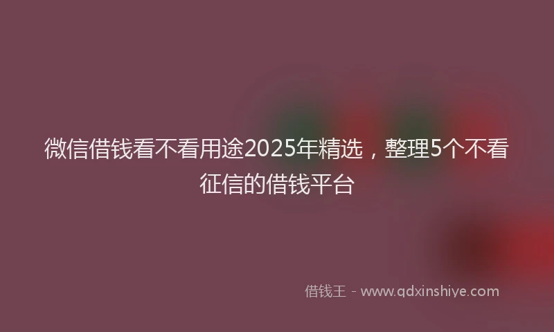 微信借钱看不看用途2025年精选，整理5个不看征信的借钱平台