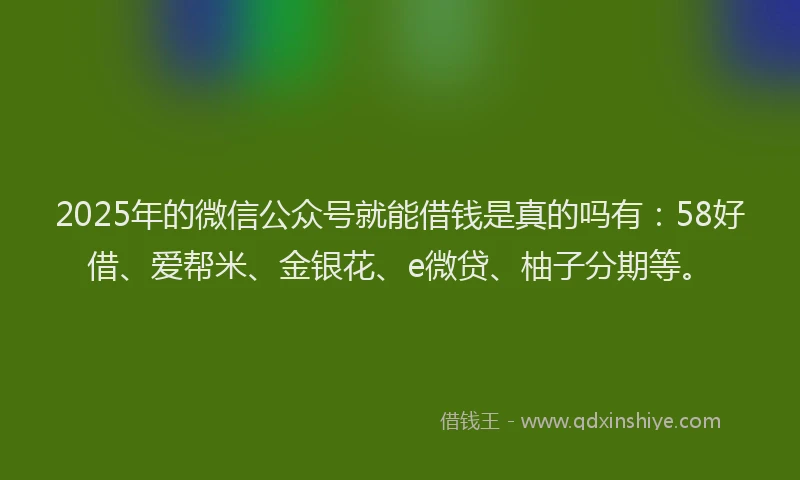 2025年的微信公众号就能借钱是真的吗有：58好借、爱帮米、金银花、e微贷、柚子分期等。