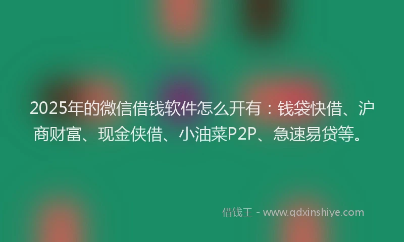 2025年的微信借钱软件怎么开有：钱袋快借、沪商财富、现金侠借、小油菜P2P、急速易贷等。