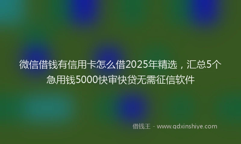 微信借钱有信用卡怎么借2025年精选，汇总5个急用钱5000快审快贷无需征信软件