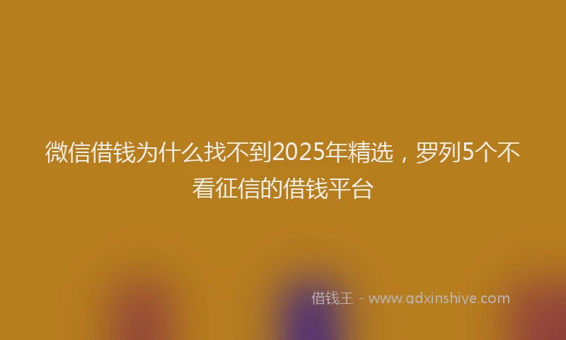 微信借钱为什么找不到2025年精选，罗列5个不看征信的借钱平台