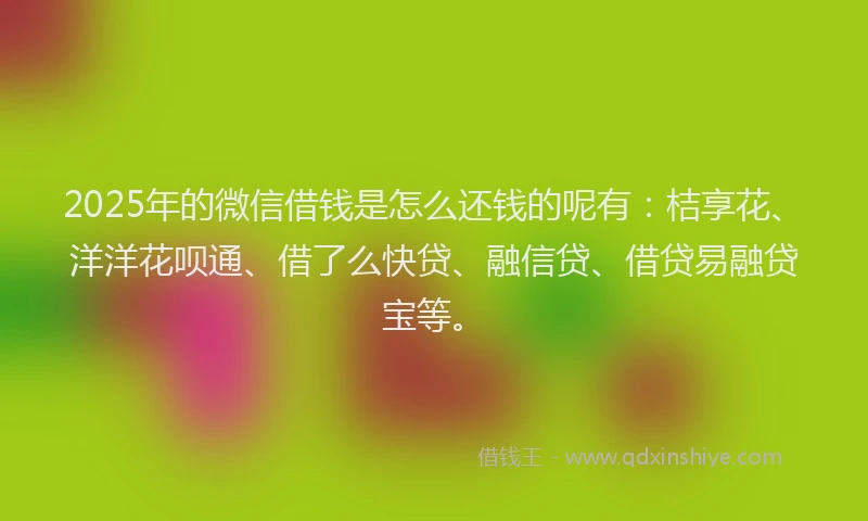 2025年的微信借钱是怎么还钱的呢有：桔享花、洋洋花呗通、借了么快贷、融信贷、借贷易融贷宝等。