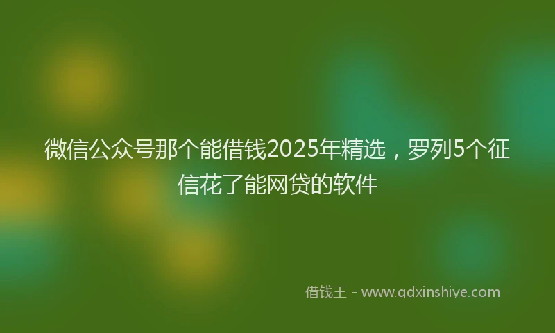 微信公众号那个能借钱2025年精选，罗列5个征信花了能网贷的软件