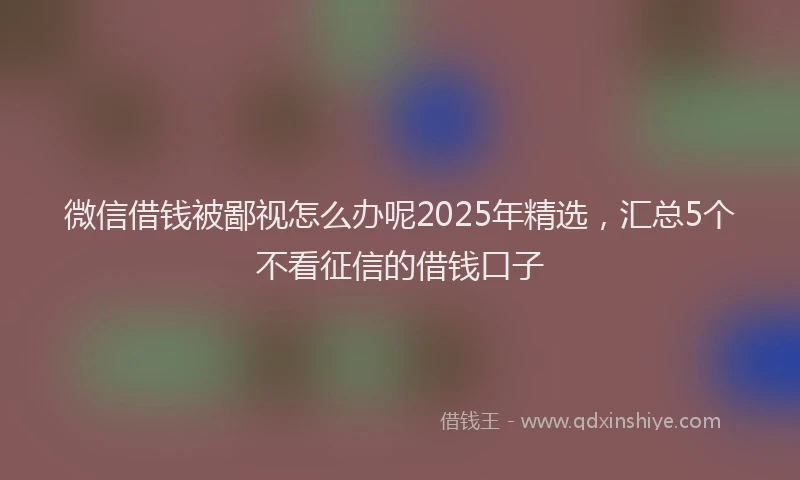 微信借钱被鄙视怎么办呢2025年精选，汇总5个不看征信的借钱口子