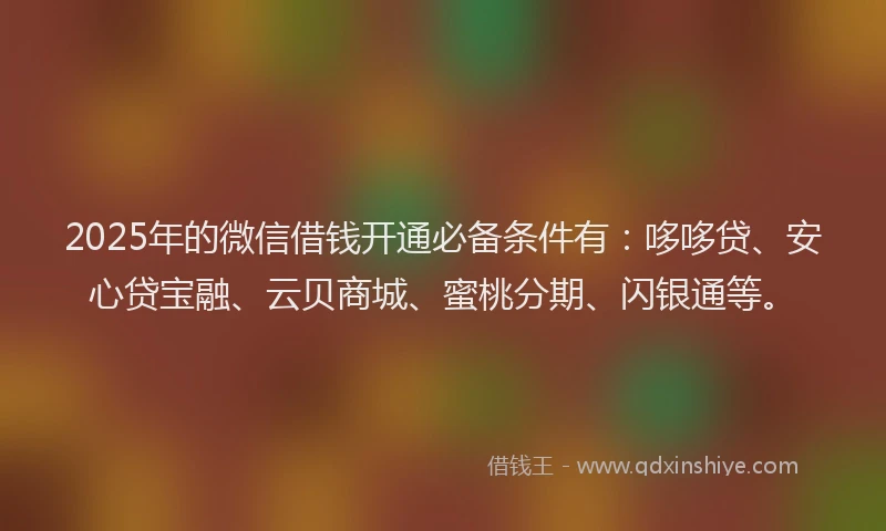 2025年的微信借钱开通必备条件有：哆哆贷、安心贷宝融、云贝商城、蜜桃分期、闪银通等。