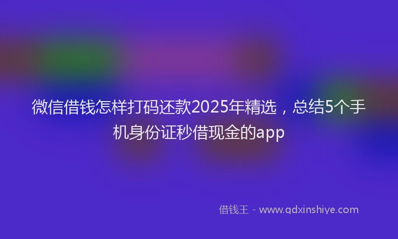 微信借钱怎样打码还款2025年精选，总结5个手机身份证秒借现金的app