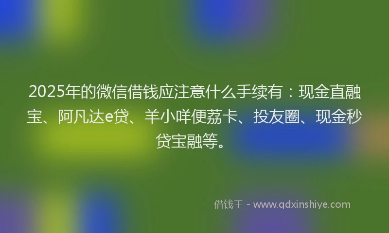 2025年的微信借钱应注意什么手续有：现金直融宝、阿凡达e贷、羊小咩便荔卡、投友圈、现金秒贷宝融等。