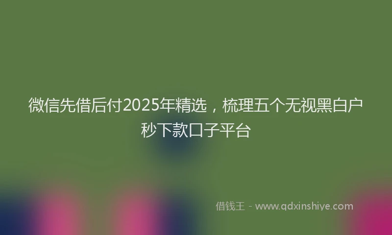 微信先借后付2025年精选，梳理五个无视黑白户秒下款口子平台