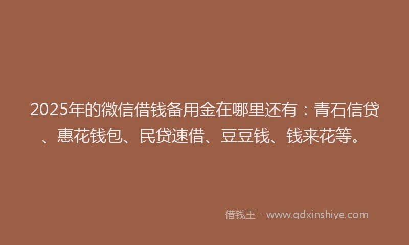 2025年的微信借钱备用金在哪里还有：青石信贷、惠花钱包、民贷速借、豆豆钱、钱来花等。
