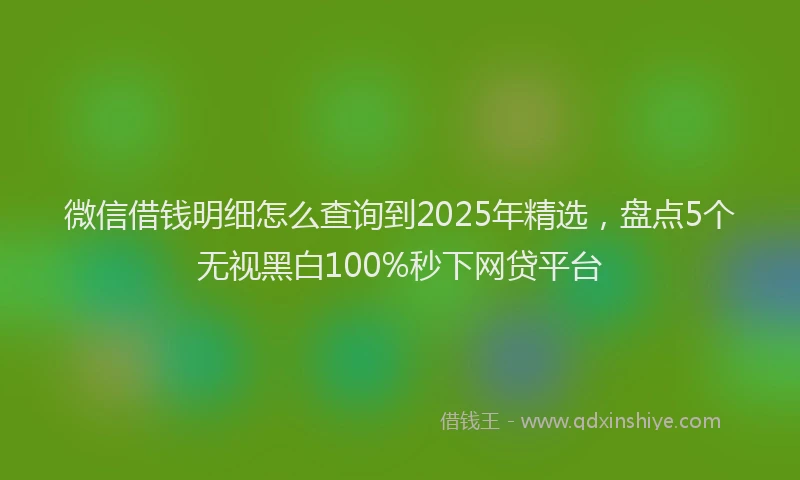 微信借钱明细怎么查询到2025年精选，盘点5个无视黑白100%秒下网贷平台