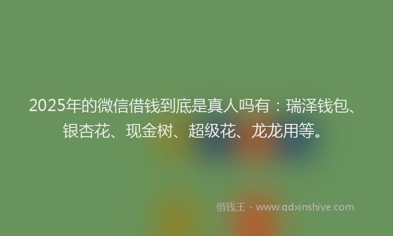 2025年的微信借钱到底是真人吗有：瑞泽钱包、银杏花、现金树、超级花、龙龙用等。