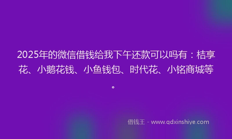 2025年的微信借钱给我下午还款可以吗有：桔享花、小鹅花钱、小鱼钱包、时代花、小铭商城等。