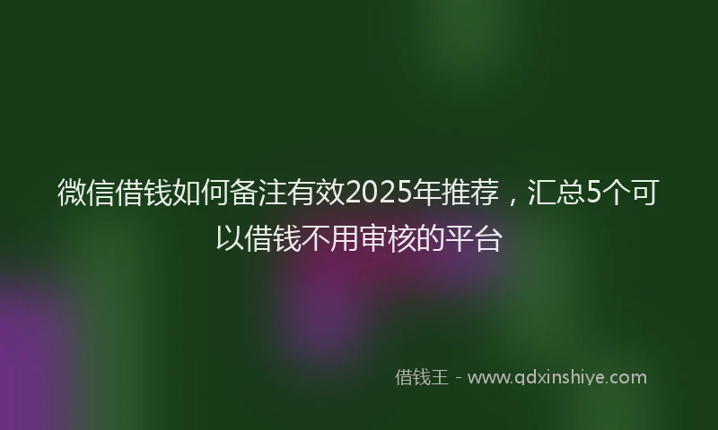 微信借钱如何备注有效2025年推荐，汇总5个可以借钱不用审核的平台