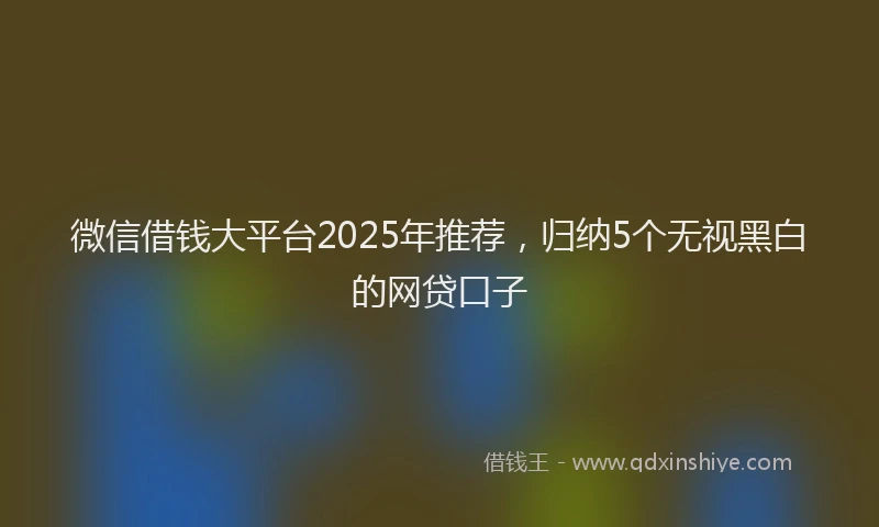 微信借钱大平台2025年推荐，归纳5个无视黑白的网贷口子