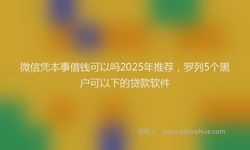 微信凭本事借钱可以吗2025年推荐，罗列5个黑户可以下的贷款软件
