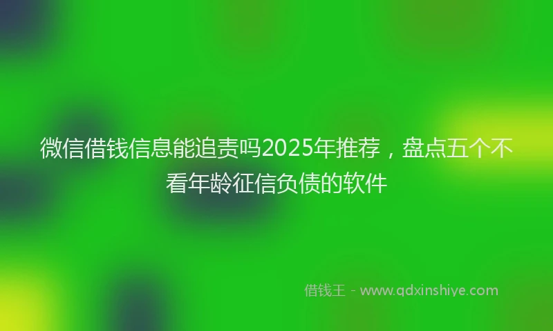 微信借钱信息能追责吗2025年推荐，盘点五个不看年龄征信负债的软件