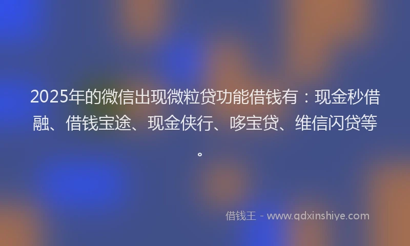 2025年的微信出现微粒贷功能借钱有：现金秒借融、借钱宝途、现金侠行、哆宝贷、维信闪贷等。
