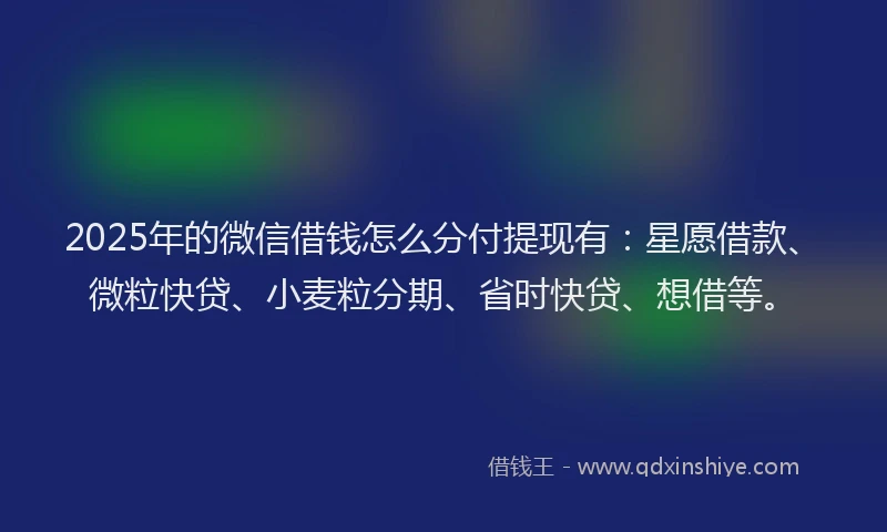 2025年的微信借钱怎么分付提现有：星愿借款、微粒快贷、小麦粒分期、省时快贷、想借等。