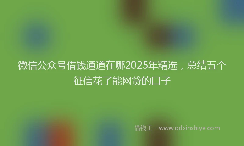 微信公众号借钱通道在哪2025年精选，总结五个征信花了能网贷的口子