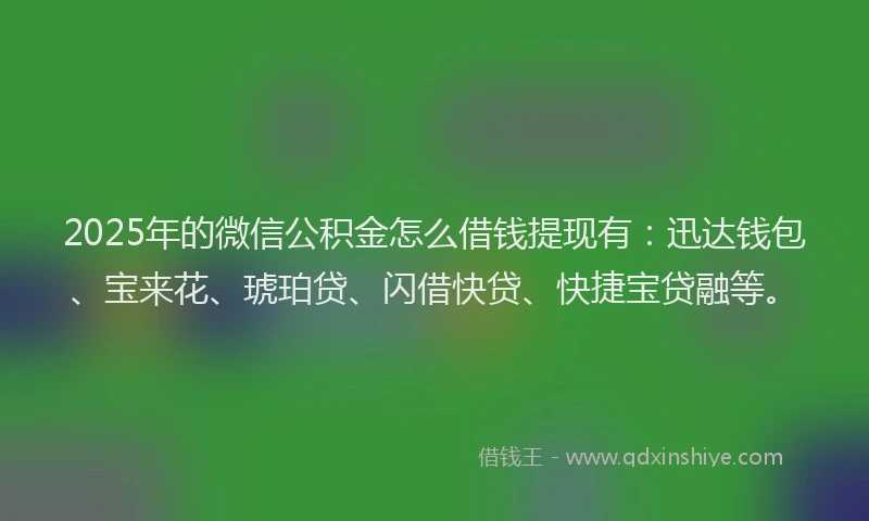 2025年的微信公积金怎么借钱提现有：迅达钱包、宝来花、琥珀贷、闪借快贷、快捷宝贷融等。