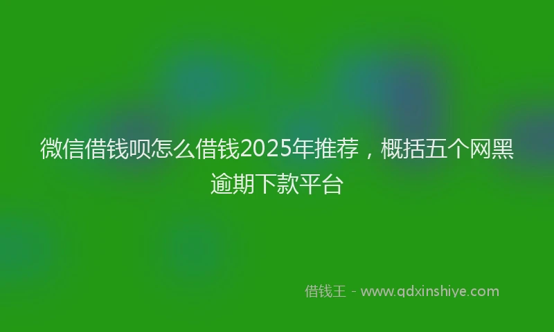 微信借钱呗怎么借钱2025年推荐，概括五个网黑逾期下款平台