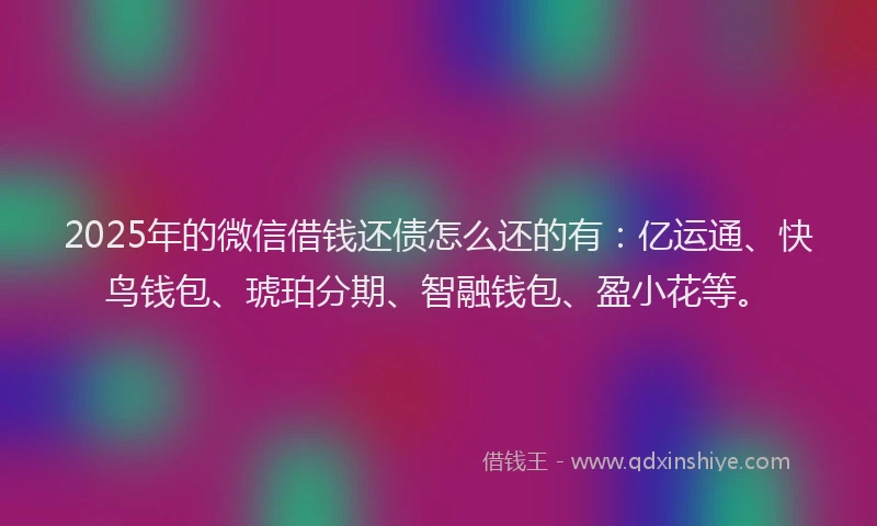 2025年的微信借钱还债怎么还的有：亿运通、快鸟钱包、琥珀分期、智融钱包、盈小花等。