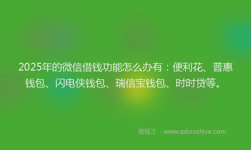2025年的微信借钱功能怎么办有：便利花、普惠钱包、闪电侠钱包、瑞信宝钱包、时时贷等。