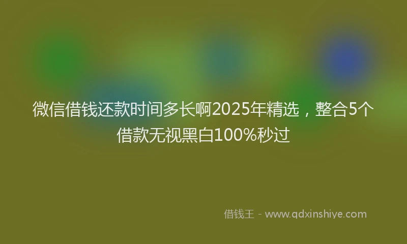 微信借钱还款时间多长啊2025年精选，整合5个借款无视黑白100%秒过