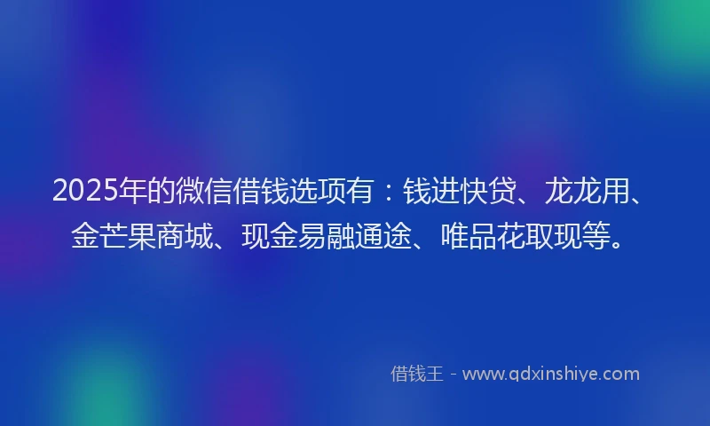 2025年的微信借钱选项有：钱进快贷、龙龙用、金芒果商城、现金易融通途、唯品花取现等。