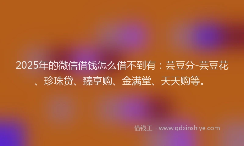 2025年的微信借钱怎么借不到有：芸豆分-芸豆花、珍珠贷、臻享购、金满堂、天天购等。
