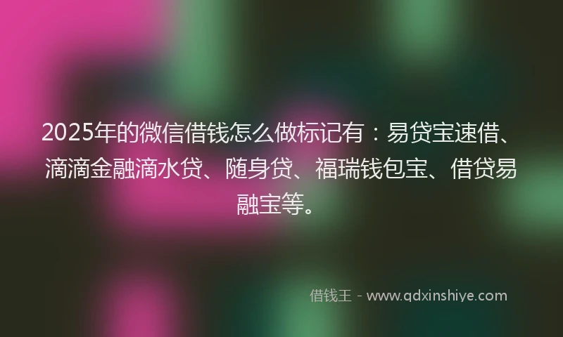 2025年的微信借钱怎么做标记有：易贷宝速借、滴滴金融滴水贷、随身贷、福瑞钱包宝、借贷易融宝等。