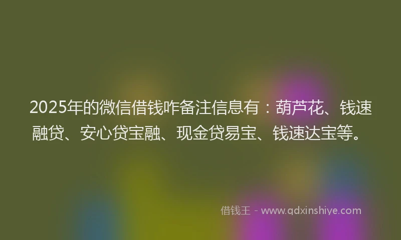 2025年的微信借钱咋备注信息有：葫芦花、钱速融贷、安心贷宝融、现金贷易宝、钱速达宝等。