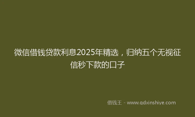 微信借钱贷款利息2025年精选，归纳五个无视征信秒下款的口子