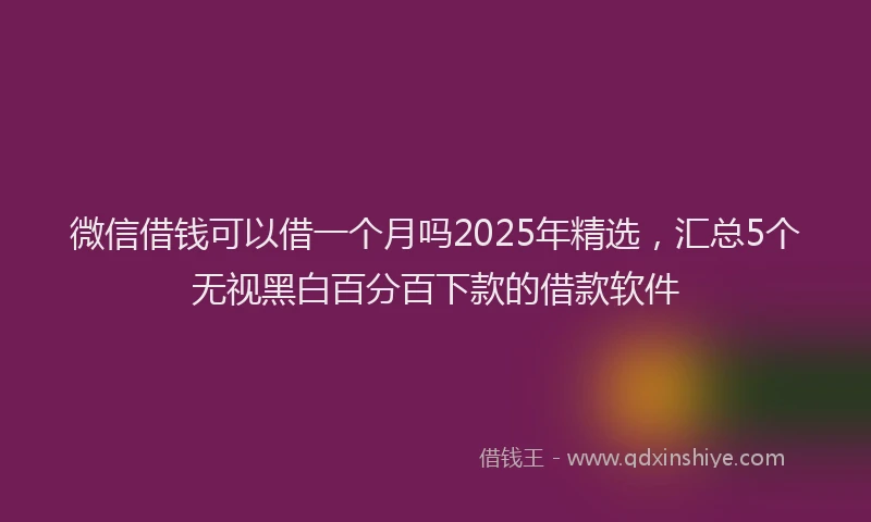微信借钱可以借一个月吗2025年精选，汇总5个无视黑白百分百下款的借款软件