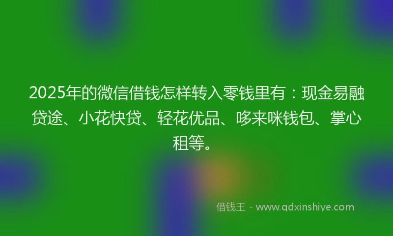 2025年的微信借钱怎样转入零钱里有：现金易融贷途、小花快贷、轻花优品、哆来咪钱包、掌心租等。