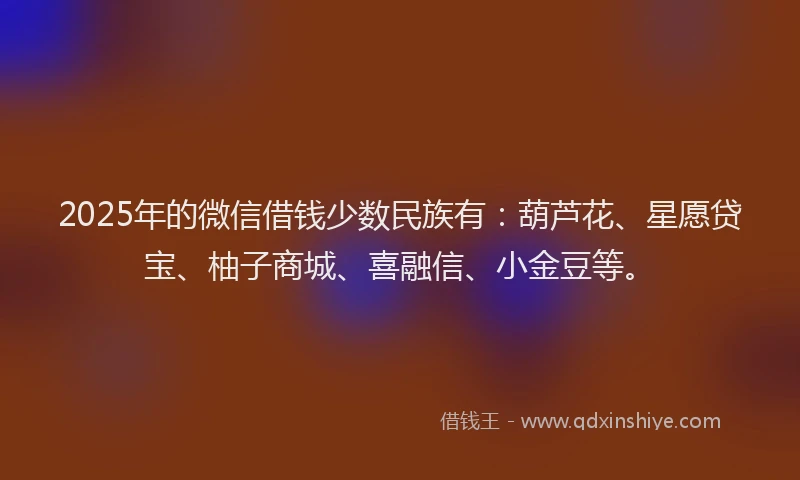 2025年的微信借钱少数民族有：葫芦花、星愿贷宝、柚子商城、喜融信、小金豆等。