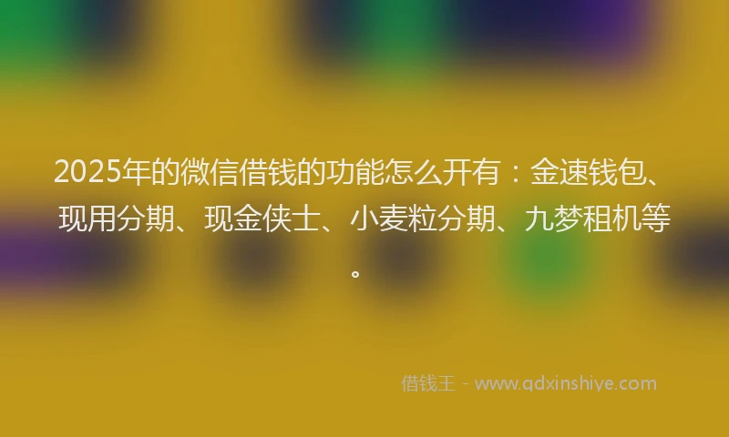 2025年的微信借钱的功能怎么开有：金速钱包、现用分期、现金侠士、小麦粒分期、九梦租机等。